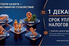 Что делать, если налоговое уведомление не получено