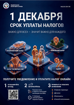 До 1 декабря декабря срок уплаты налогов